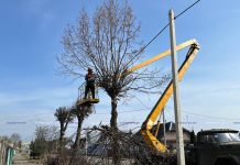 Ремонт дорог и санитарная обрезка деревьев. В Борисове продолжаются работы по благоустройству