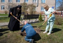 На территории Борисовского родильного дома заложили Вишнёвый сад