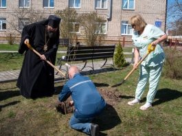 На территории Борисовского родильного дома заложили Вишнёвый сад