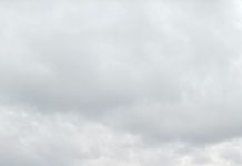 Пляжи Борисовщины готовят к сезону: что показали рейдовые проверки