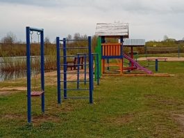 Пляжи Борисовщины готовят к сезону: что показали рейдовые проверки