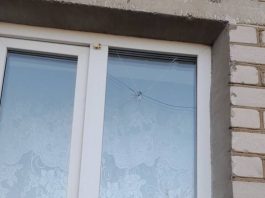 В Борисове несовершеннолетний повредил окна пенсионерки. Возбуждено уголовное дело