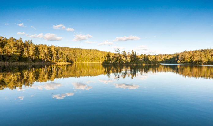 Очистка берегов рек и озер. Экологическая акция «Беларусь синеокая» пройдет 22-28 апреля