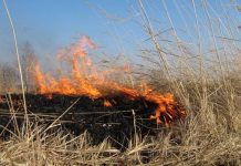 В Борисове правоохранители помогли потушить пожар на приусадебном участке пенсионерки