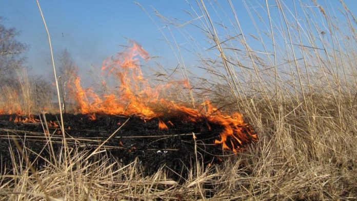 86d5c6d78b4bcec631d29c2aa9e75e71