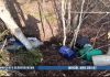 В Борисовском районе тракторист-машинист сливал топливо со служебной машины В Борисовском районе тракторист-машинист сливал топливо со служебной машины