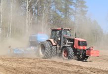 Как проходит весенняя посевная кампания в одном из элитхозов Борисовщины