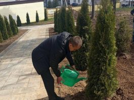 В Борисове прошли групповые мероприятия с безработными лицами, состоящими на профилактических учетах в милиции