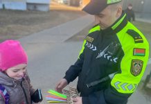 Профилактическая акция «Безопасность детей на дорогах: ответственность каждого!» проходит в Борисовском районе