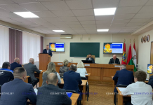 Какая тема поднималась на едином дне информирования в Борисове