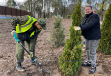 Дорожные работы и озеленение: благоустройство в Борисове продолжается