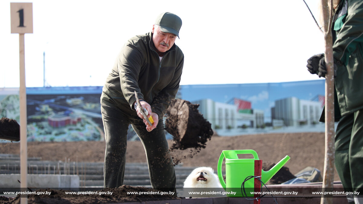 Александр Лукашенко принял участие в республиканском субботнике