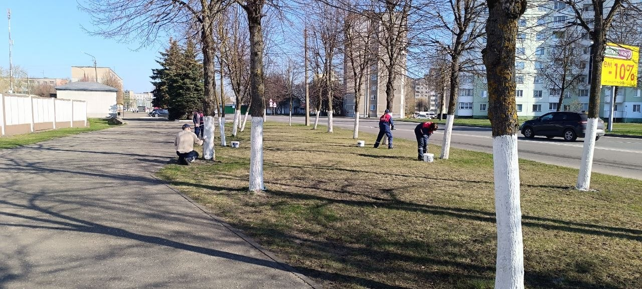 Республиканский субботник: на Борисовщине работа кипит в каждом уголке