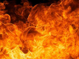 На пожаре в Борисове погиб мужчина