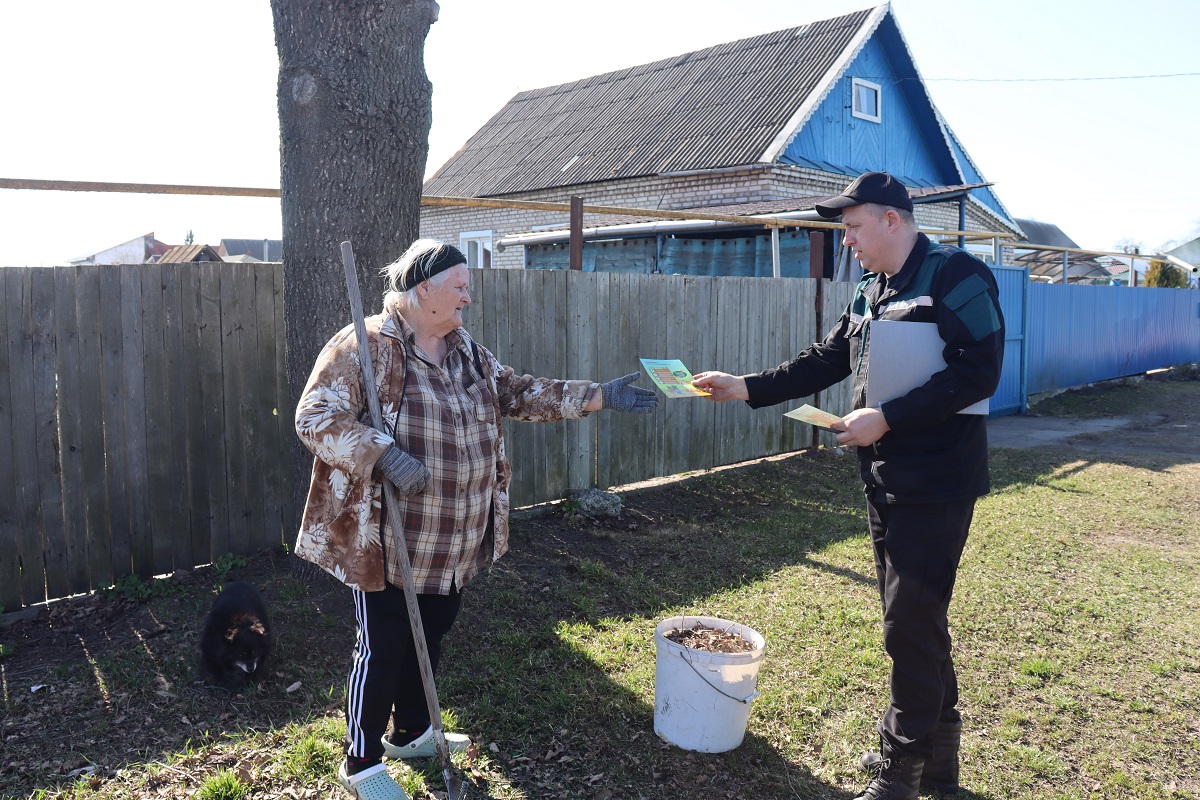 «Зеленый щит»: спасатели рассказали, как безопасно навести порядок на своем земельном участке