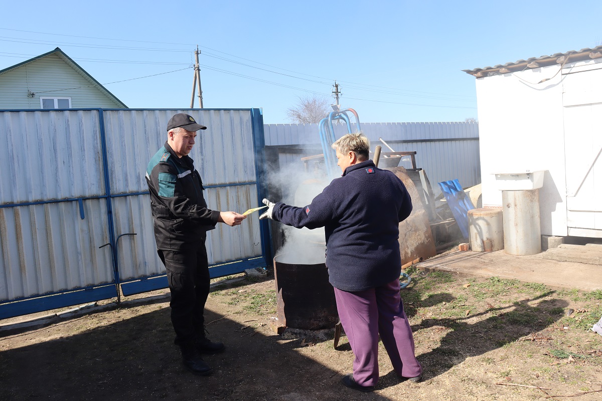 «Зеленый щит»: спасатели рассказали, как безопасно навести порядок на своем земельном участке
