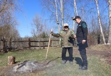 «Зеленый щит»: спасатели рассказали, как безопасно навести порядок на своем земельном участке