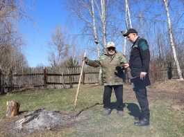 «Зеленый щит»: спасатели рассказали, как безопасно навести порядок на своем земельном участке