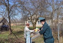 «Зеленый щит»: наводим порядки на земельном участке по правилам