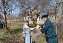 «Зеленый щит»: наводим порядки на земельном участке по правилам