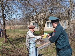 «Зеленый щит»: наводим порядки на земельном участке по правилам