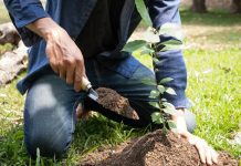 МЖКХ подвело итоги республиканского субботника. Сколько высажено деревьев и убрано территорий