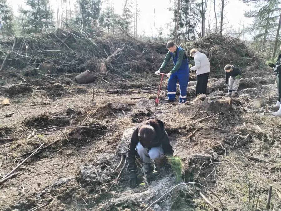 Ребята из Лошницкой средней школы присоединились к важной акции
