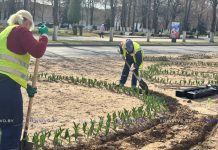 На Борисовщине продолжают создавать красоту