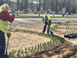 На Борисовщине продолжают создавать красоту