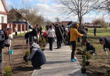 В Старых Дорогах дали старт молодежному социальному субботнику «Дорогой добрых дел»