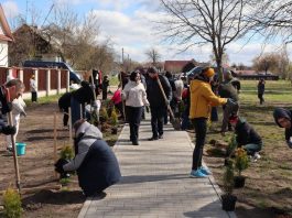 В Старых Дорогах дали старт молодежному социальному субботнику «Дорогой добрых дел»