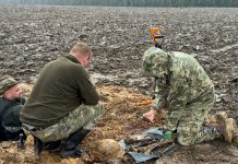 Поисковики нашли на Борисовщине останки шести бойцов Красной Армии