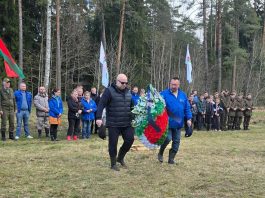 Партийцы «Белой Руси» Борисовщины высадили деревья на Тониной поляне