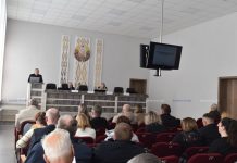 Как создать здоровую психосоциальную рабочую среду, обсудили на семинаре-совещании в Борисове