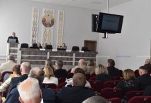 Как создать здоровую психосоциальную рабочую среду, обсудили на семинаре-совещании в Борисове