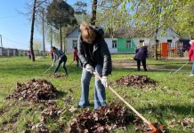 Республиканский субботник в Борисове: где взять инвентарь и как присоединиться