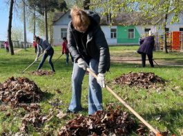 Республиканский субботник в Борисове: где взять инвентарь и как присоединиться