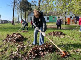 Примите участие в благоустройстве Борисовщины: 18 апреля в Беларуси пройдет республиканский субботник