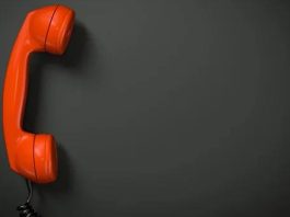 Есть вопросы по поводу летней трудовой занятости молодежи? Звоните Есть вопросы по поводу летней трудовой занятости молодежи? Звоните