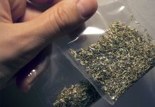 Житель Борисова обвинен в незаконном приобретении, хранении и перевозке наркотиков через границу