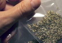 Житель Борисова обвинен в незаконном приобретении, хранении и перевозке наркотиков через границу