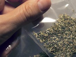 Житель Борисова обвинен в незаконном приобретении, хранении и перевозке наркотиков через границу