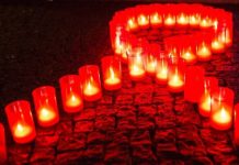 Сколько ВИЧ-положительных граждан проживает на территории Борисовского района