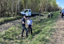 Житель Борисова погиб в ДТП в Могилевском районе