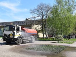Озеленители УП «Жилье» продолжают создавать красоту на улицах Борисова