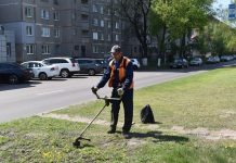 Коммунальная служба Борисова приступила к покосу травы на улицах города