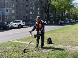 Коммунальная служба Борисова приступила к покосу травы на улицах города