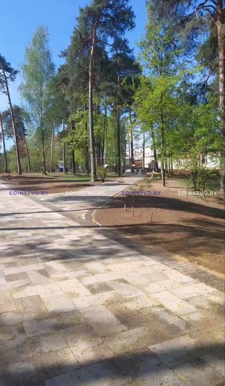 Как преображается городской парк Борисова. Фоторепортаж