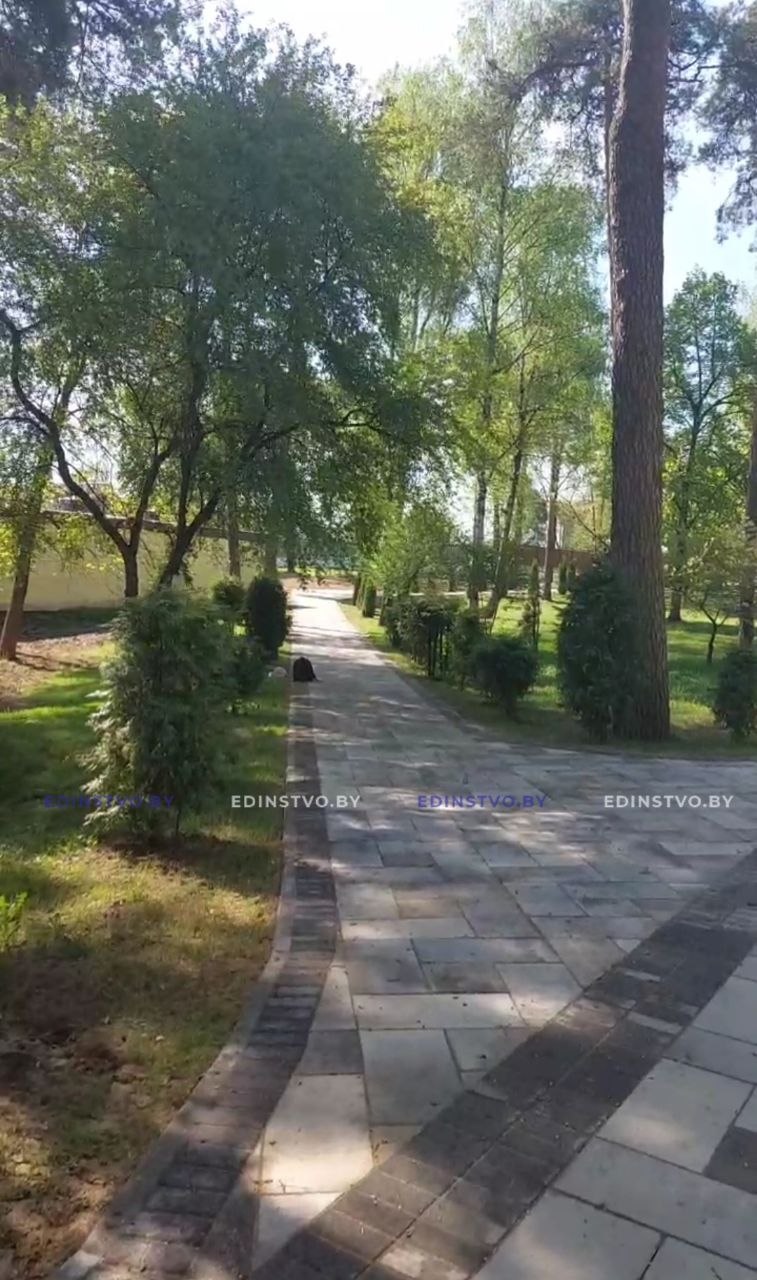 Как преображается городской парк Борисова. Фоторепортаж