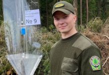 Как в Борисовском опытном лесхозе борются с жуком-короедом Как в Борисовском опытном лесхозе борются с жуком-короедом